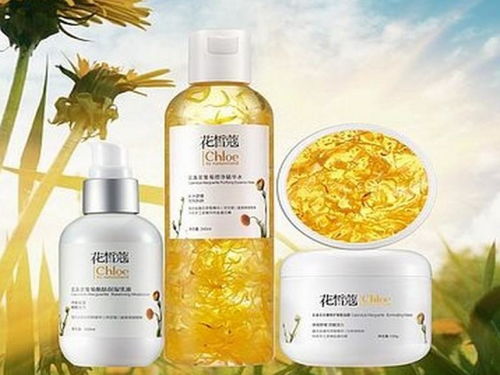 皙蔻化妆品加盟指南 费用、利润与关键步骤详解